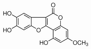 蟛蜞菊内酯,分析标准品,HPLC≥98%