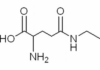L-茶氨酸,分析标准品,HPLC≥98%