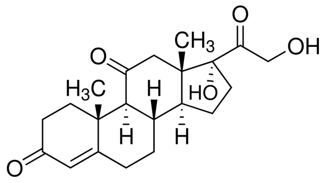 可的松,97%