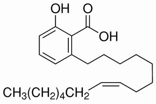 白果酸(银杏酸C15:1),分析标准品,HPLC≥98%