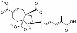 土荆皮乙酸,分析标准品,HPLC≥98%