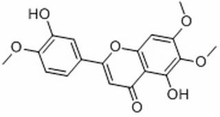 半齿泽兰素，分析标准品,HPLC≥98%