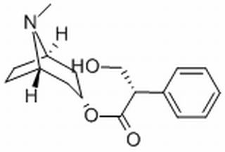 莨菪碱,分析标准品,HPLC≥98%