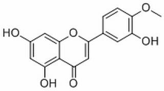 香叶木素,分析标准品,HPLC≥98%