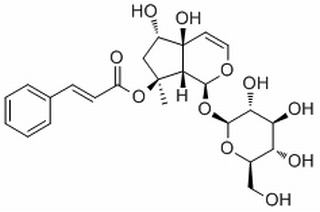 6-Epiharpagoside,分析标准品,HPLC≥98%