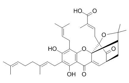 异新藤黄酸,分析标准品,HPLC≥95%