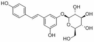 虎杖苷,分析标准品,HPLC≥98%