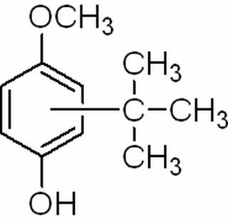 4-叔丁基茴香醚,分析标准品,GC≥98%