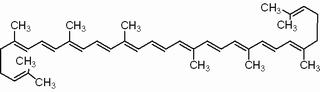 番茄红素,分析标准品,HPLC≥90%