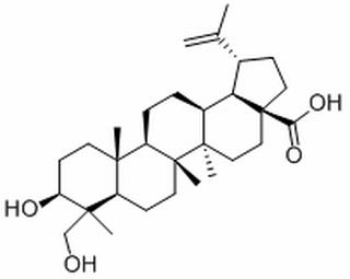23-羟基白桦酸,分析标准品,HPLC≥98%