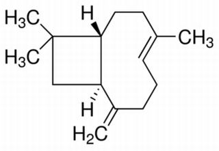 β-丁香烯,分析标准品,GC≥98%