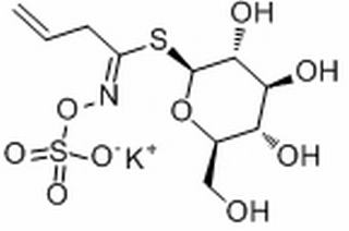 黑芥子硫苷酸钾一水,分析标准品,HPLC≥98%