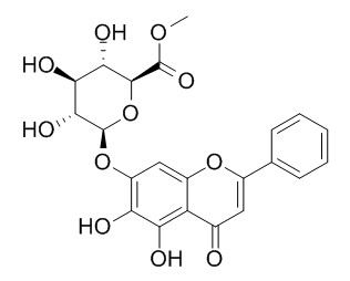 黄芩苷甲酯,分析标准品,HPLC≥95%