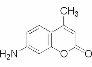 7-氨基-4-甲基香豆素,分析标准品,HPLC≥98%
