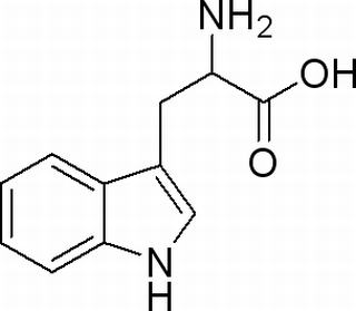 DL-色氨酸,分析标准品,HPLC≥98%