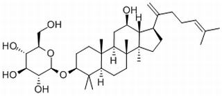 人参皂苷Rk2,分析标准品,HPLC≥98%