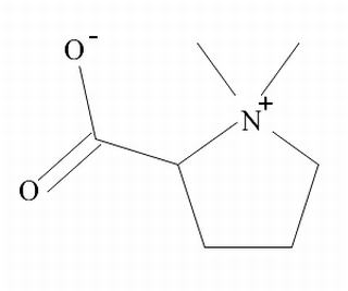 盐酸水苏碱,分析标准品,HPLC≥98%