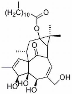 正十二烷酸巨大戟酯,分析标准品,HPLC≥98%