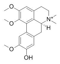 竹叶椒碱,分析标准品,HPLC≥95%