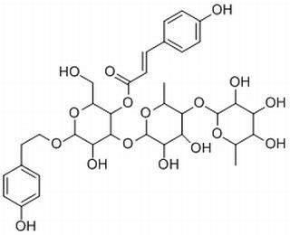紫茎女贞苷B,分析标准品,HPLC≥95%