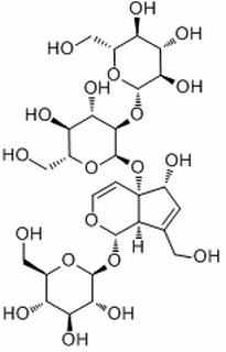 地黄苷D,分析标准品,HPLC≥98%