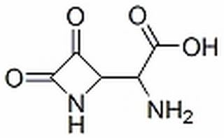 L-三七素,分析标准品,HPLC≥98%