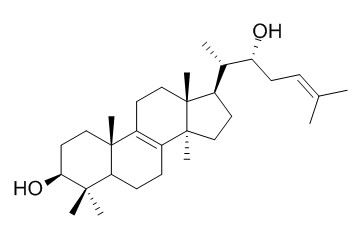 桦褐孔菌醇,分析标准品,HPLC≥95%