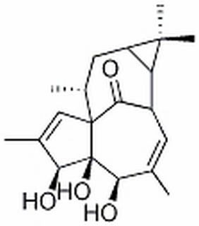 20-去氧巨大戟萜醇,分析标准品,HPLC≥98%