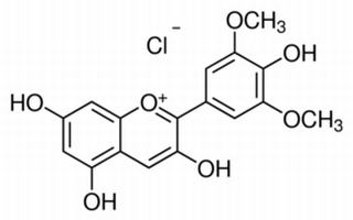 锦葵色素 ,分析标准品,HPLC≥97%