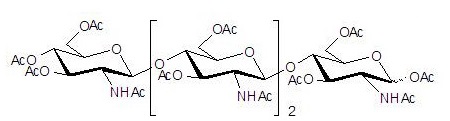 全乙酰化的壳四糖,分析标准品,HPLC≥97%