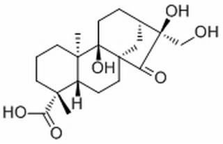 Pterisolic acid F,分析标准品,HPLC≥98%