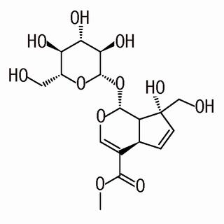 山栀子苷B,分析标准品,HPLC≥98%