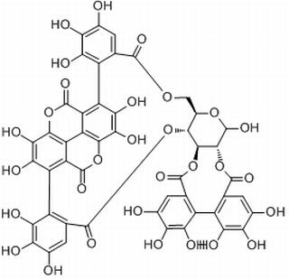 安石榴甙,分析标准品,HPLC≥98%