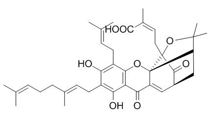 新藤黄酸,分析标准品,HPLC≥98%