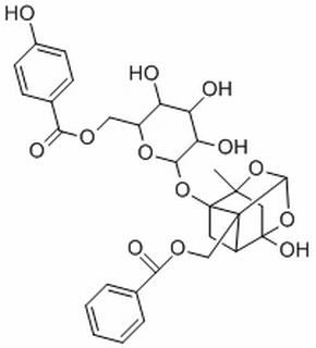 牡丹皮苷C,分析标准品,HPLC≥98%