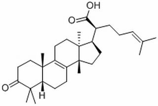 榄香酮酸,分析标准品,HPLC≥98%