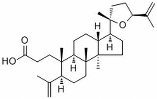 Richenoic acid,分析标准品,HPLC≥98%