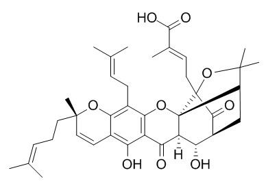 9R-10alpha-羟基表藤黄酸,分析标准品,HPLC≥95%