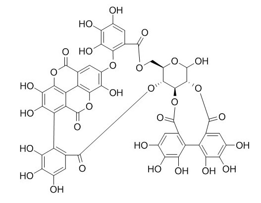 诃子鞣质,分析标准品,HPLC≥95%