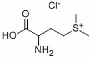 维生素U,分析标准品,Purity≥98%