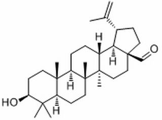 白桦脂醛，分析标准品,HPLC≥98%