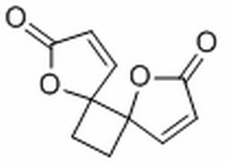 白头翁素,分析标准品,HPLC≥95%