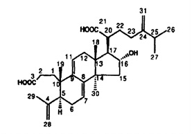茯苓酸A,分析标准品,HPLC≥96%