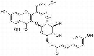 银椴苷,分析标准品,HPLC≥98%