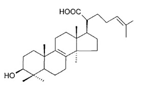 栓菌酸,分析标准品,HPLC≥95%