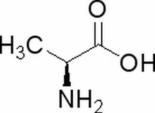 L-丙氨酸,分析标准品,HPLC≥98%