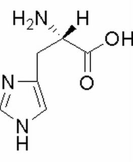 L-组氨酸,分析标准品,HPLC≥98%