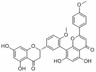 2,3-Dihydroisoginkgetin,分析标准品,HPLC≥98%