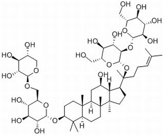 20(R)人参皂苷Rg3,分析标准品,HPLC≥98%