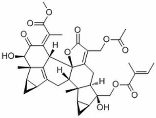 Chlorahololide D,分析标准品,HPLC≥98%